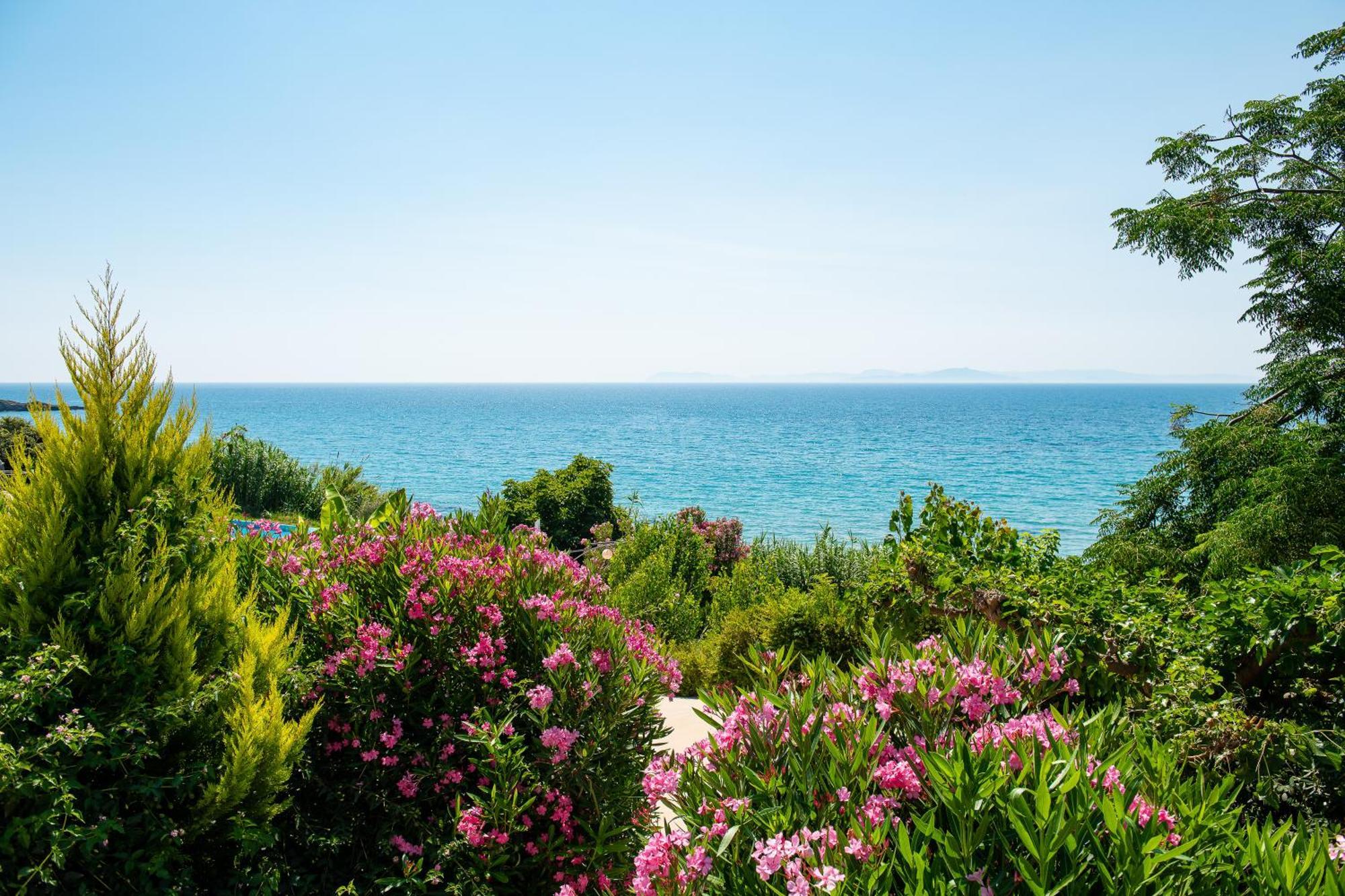 Mare Dei Suites Hotel Ionian Resort Skafidia Bagian luar foto