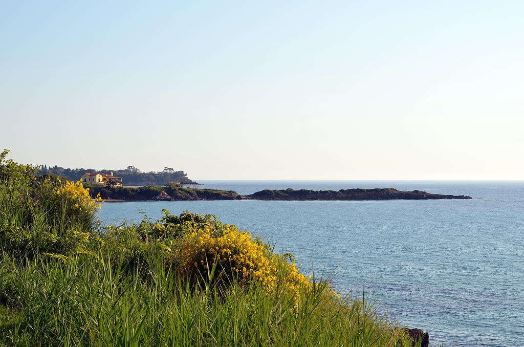 Mare Dei Suites Hotel Ionian Resort Skafidia Bagian luar foto